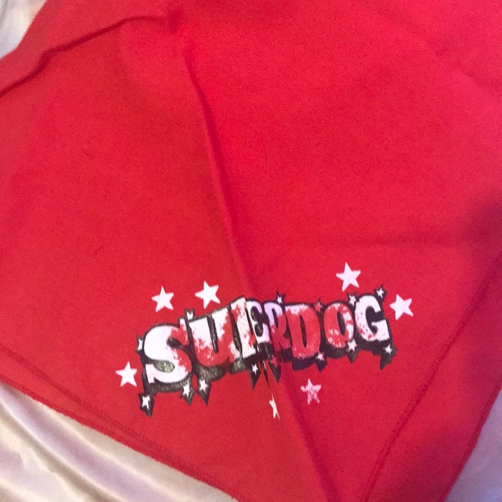 Red superdog pet bandanna - free with purchase